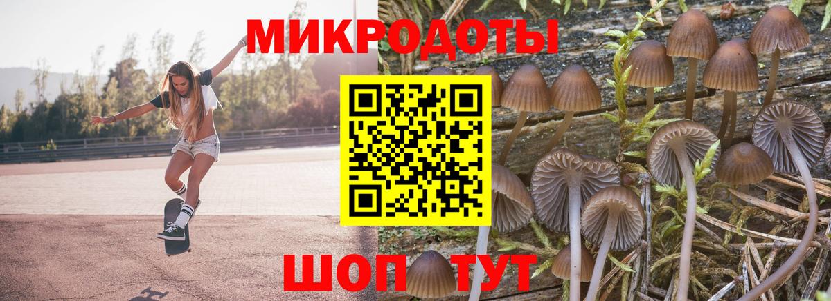 Псилоцибиновые грибы мухоморы  Вход с VPN  что такое наркотик  Дальнереченск  Псилоцибиновые грибы мухоморы 